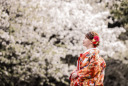 桜撮影⑥