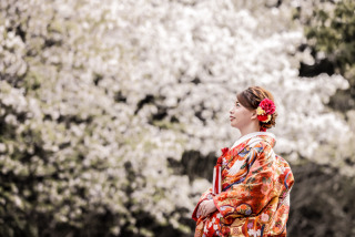 桜撮影⑥