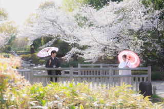 満開はいつ③