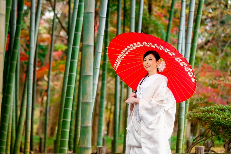 撮影スポット紹介@蘆花恒春園