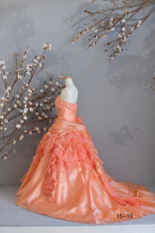 プレミアムプランをご契約のお客様