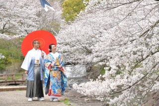 2025桜開花予想/香川県
