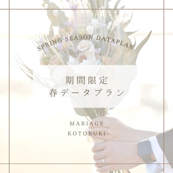 待望の！期間限定〝春〟データプラン登場！！