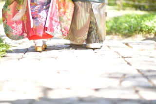 どのプランにする??