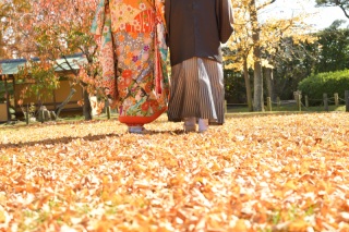 紅葉の撮影スタート