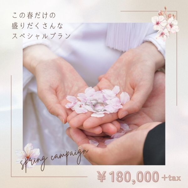 春に撮影の方必見!契約するなら今が一番お得です。