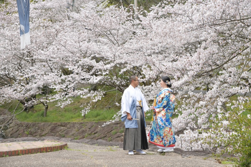 桜シーズン到来!