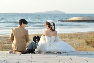 ペットとフォトウエディング