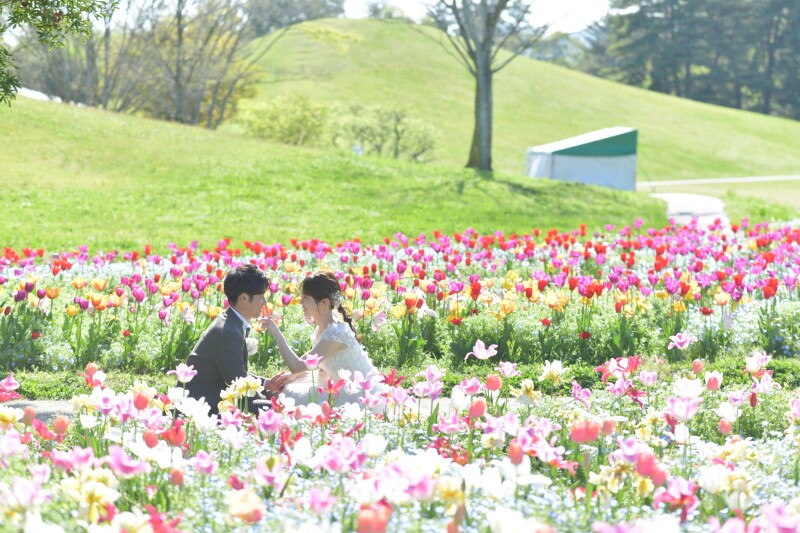 春のまんのう公園素敵でした♡