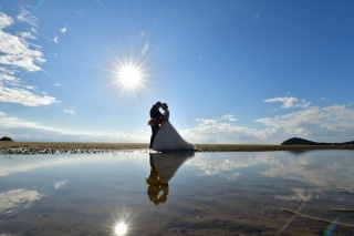 新作ドレス&ブランドドレスが無料?!?