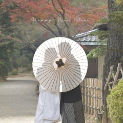 新年明けましておめでとうございます。