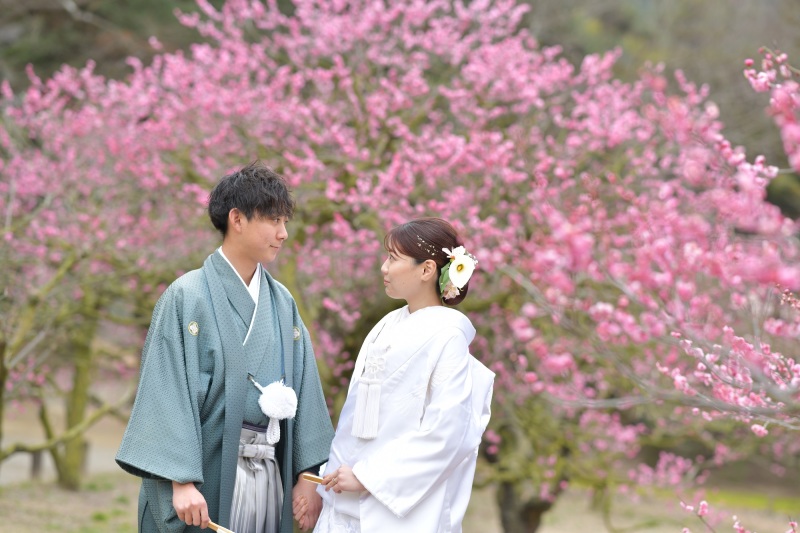 栗林公園の梅の花