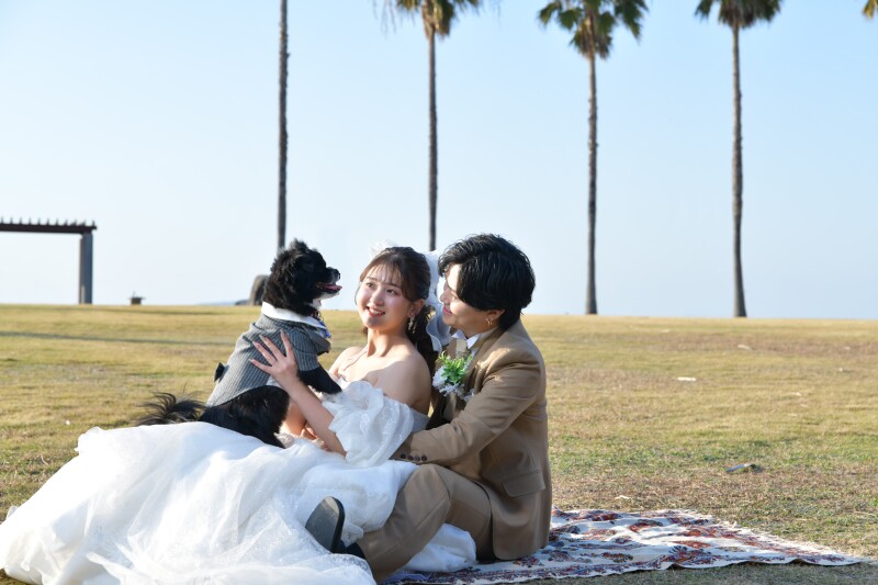 ペットとフォトウエディング