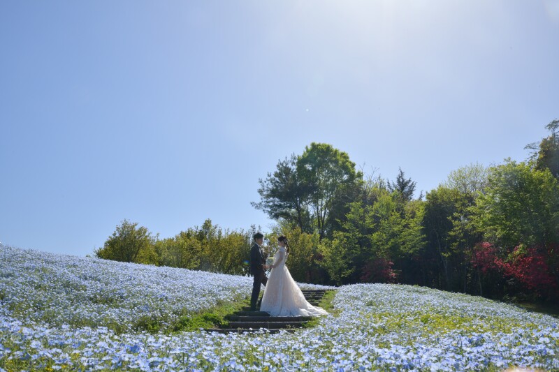 春のまんのう公園素敵でした♡