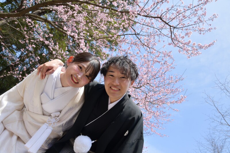 2026年、桜フォトありがとうございました。