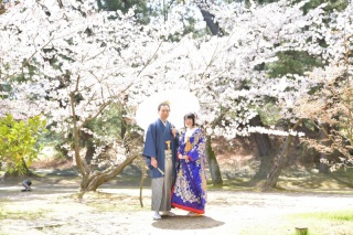 桜での撮影がしたい！！予約はいつがベスト？？