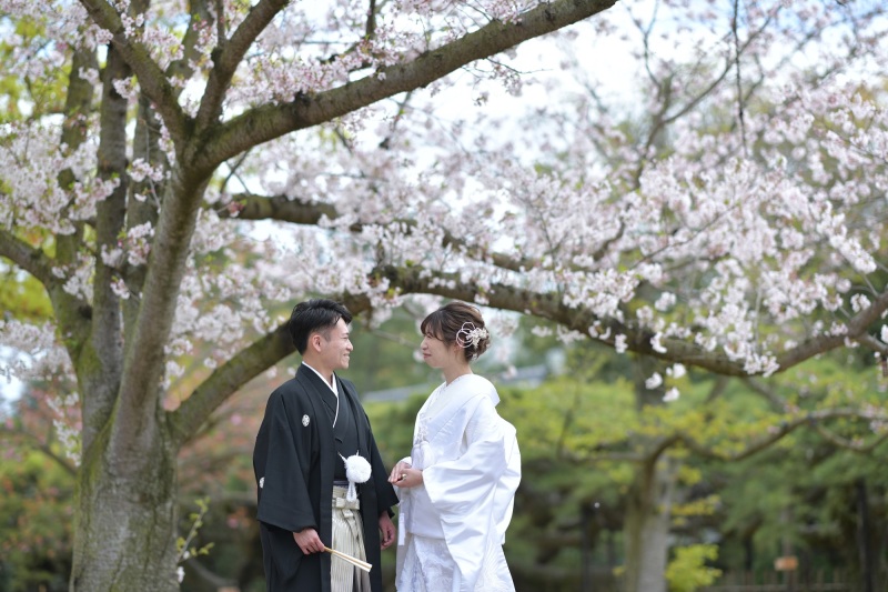 桜の魅力!注目の撮影スポット