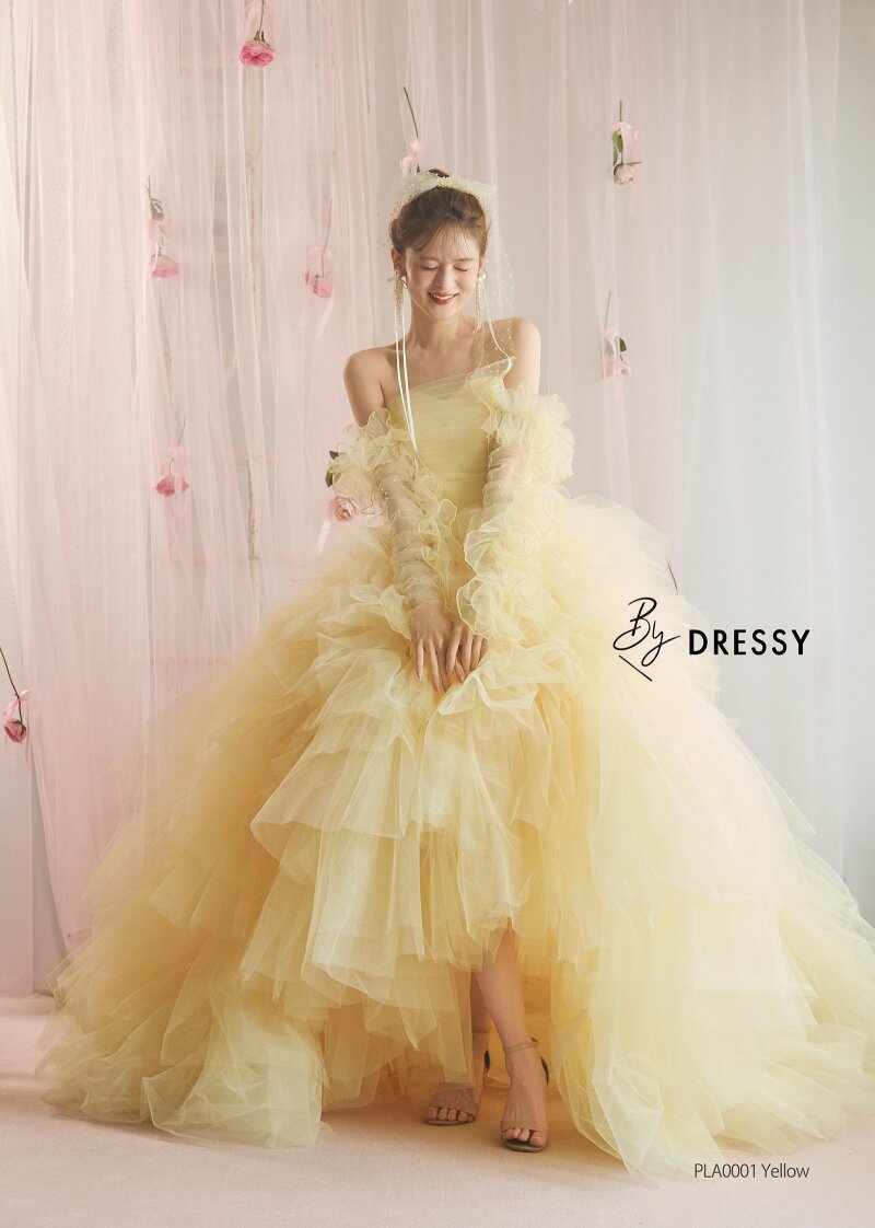 [今秋入荷予定‼]新ブランド〝ByDRESSY〟
