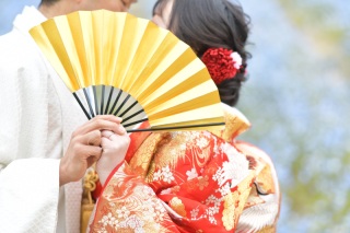 新緑ではなく深緑