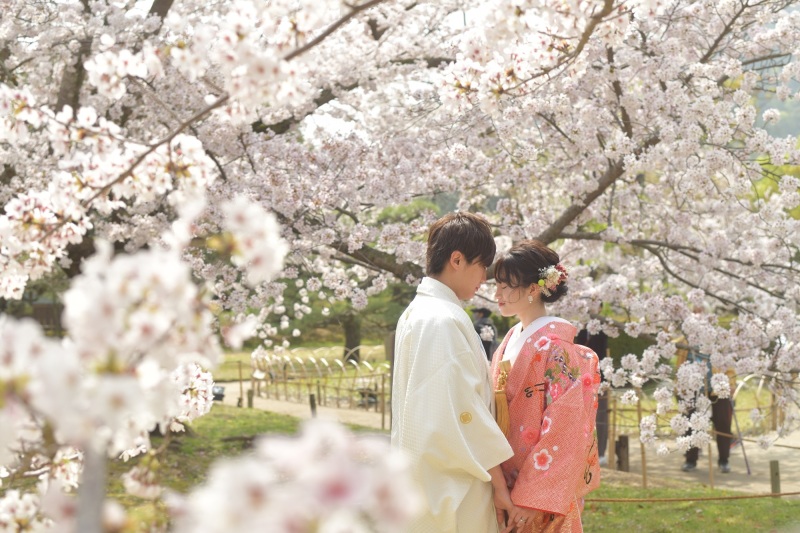 2025年桜、無事終了しました!!
