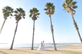 自由なスタイル