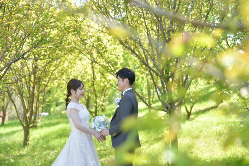 春のまんのう公園素敵でした♡