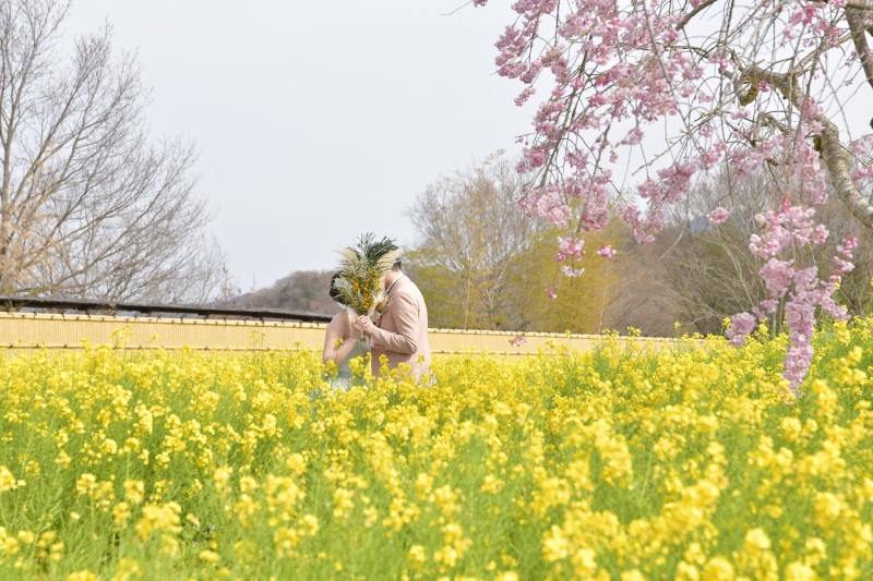 【お花畑フォト】まんのう公園の春の花