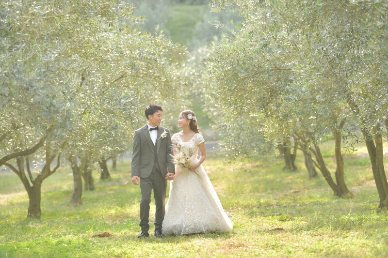 まるで小豆島!?高松にあるオリーブ農園ロケーション