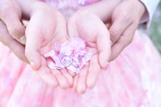 この春撮りたい!香川県の桜スポット