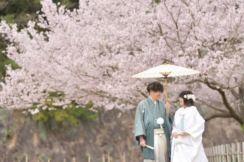 桜フォトウエディング受付中！今なら早期契約特典も
