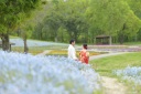 四季折々の風景が楽しめるまんのう公園