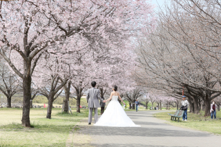 なんと!!まだ間に合う【桜撮影】