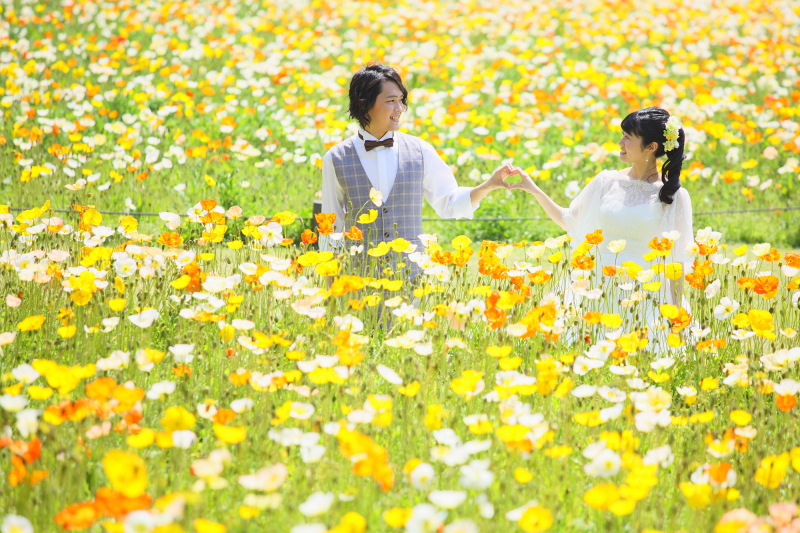 人混み知らずの広大なポピー畑♡