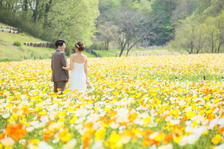 人混み知らずの広大なポピー畑♡