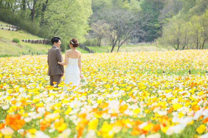 人混み知らずの広大なポピー畑♡