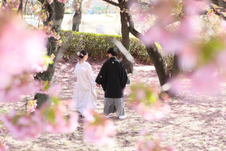 【桜撮影】が始まりました(*^^*)