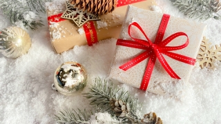 【残りわずか！年内撮影！！】　新たな気持ちで新年をお迎え下さいませ♪