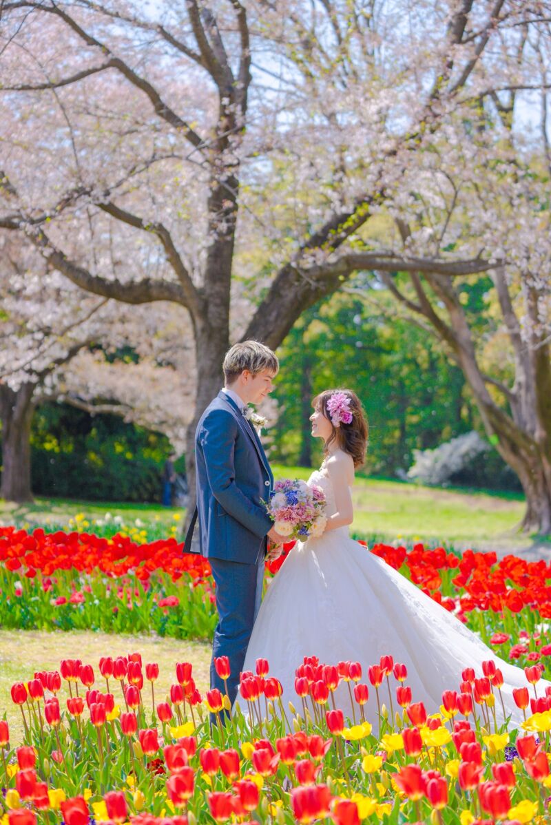 桜やチューリップと撮影♡春フォトウェディング受付中！