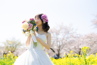 春のロケーションウェディング✿昭和記念公園にて撮影しております！