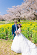 昭和記念公園でロケーションウェディング♫スタジオでも撮影出来ます！