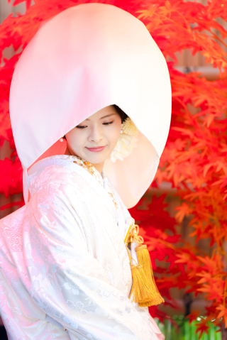 白無垢に綿帽子はいかがですか♡