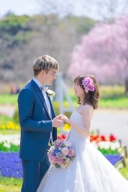 チューリップと洋装♡昭和記念公園ロケーション撮影ご予約受付中♡