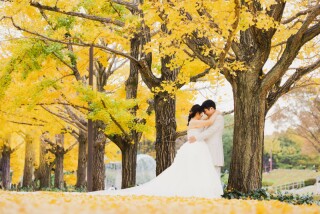 昭和記念公園にてロケーションウェディングも承っております♫