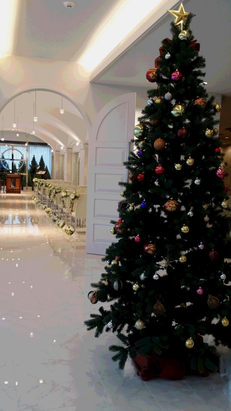 セレス立川のクリスマス撮影☆【組数限定】