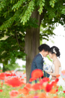 ポピーの花畑で♡5月ロケーションウェディングも受付中!