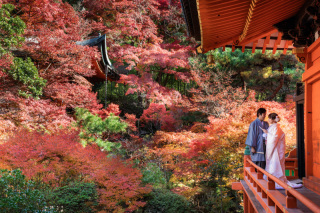 毘沙門堂の前撮りフォト