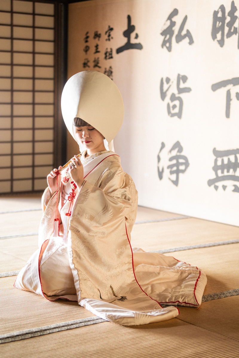 綿帽子の撮影集