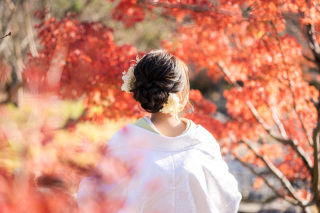 後ろ姿のショット