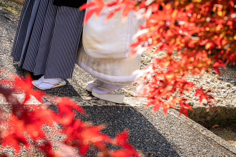 12月上旬の撮影レポ|紅葉シーズン