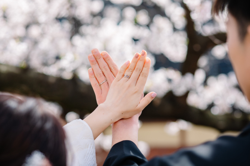 昨年の桜シーズンフォト